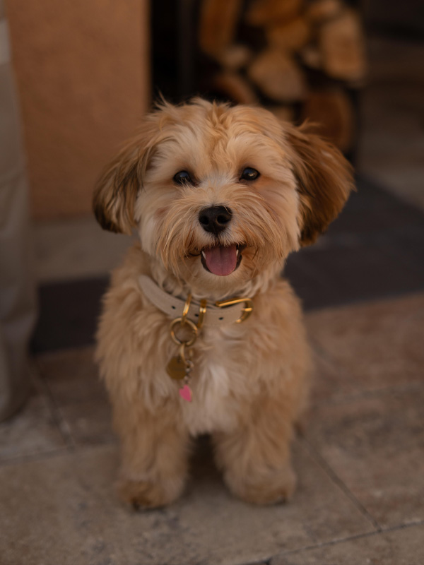 Perfect Smile Dental Studio | Veneers, Dental Bridges and Invisalign reg